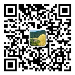 台湾宾果28官方网站